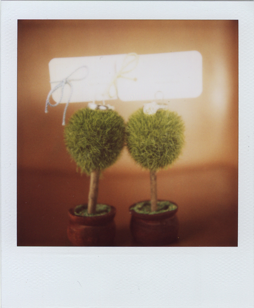 polaroid02