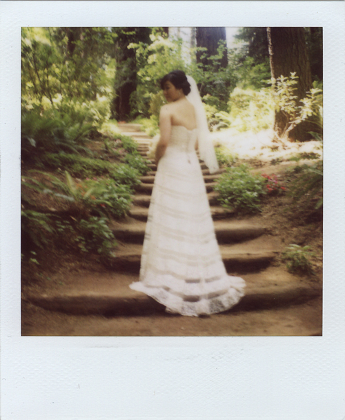 polaroid05