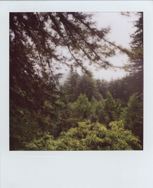 polaroid06